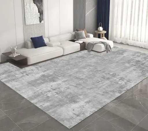 Modern Light Gray Rug Elegant Grey Carpet Sw