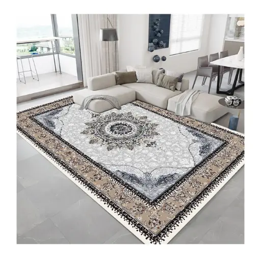 Beige Bordered Traditional Rug – Light Gray with Central Medallion Cashmere Feel Carpet